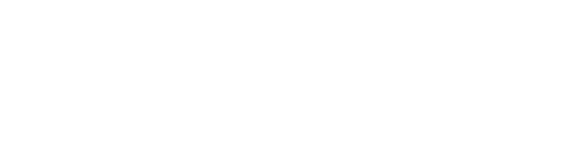 professional web development services